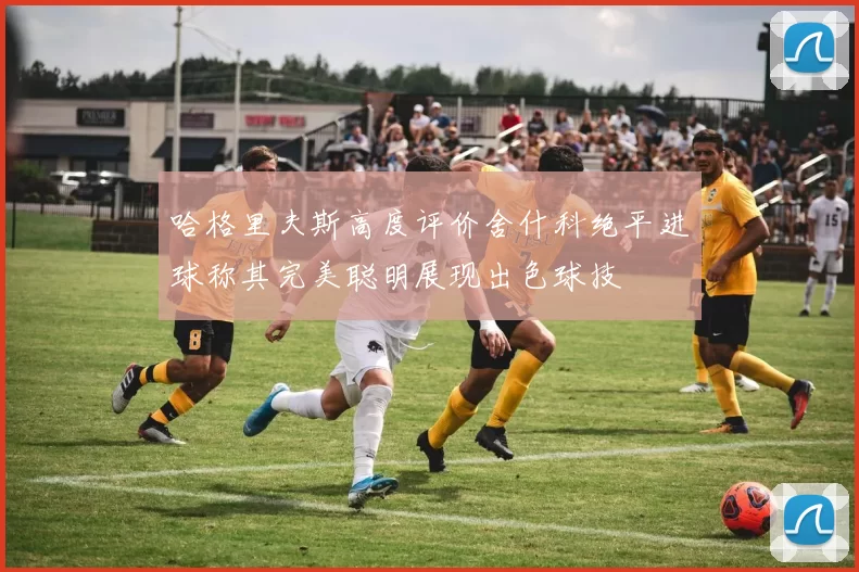 哈格里夫斯高度评价舍什科绝平进球称其完美聪明展现出色球技