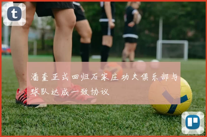 潘奎正式回归石家庄功夫俱乐部与球队达成一致协议