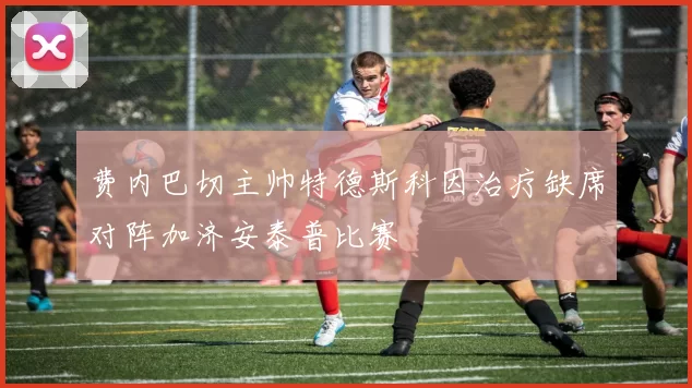 费内巴切主帅特德斯科因治疗缺席对阵加济安泰普比赛